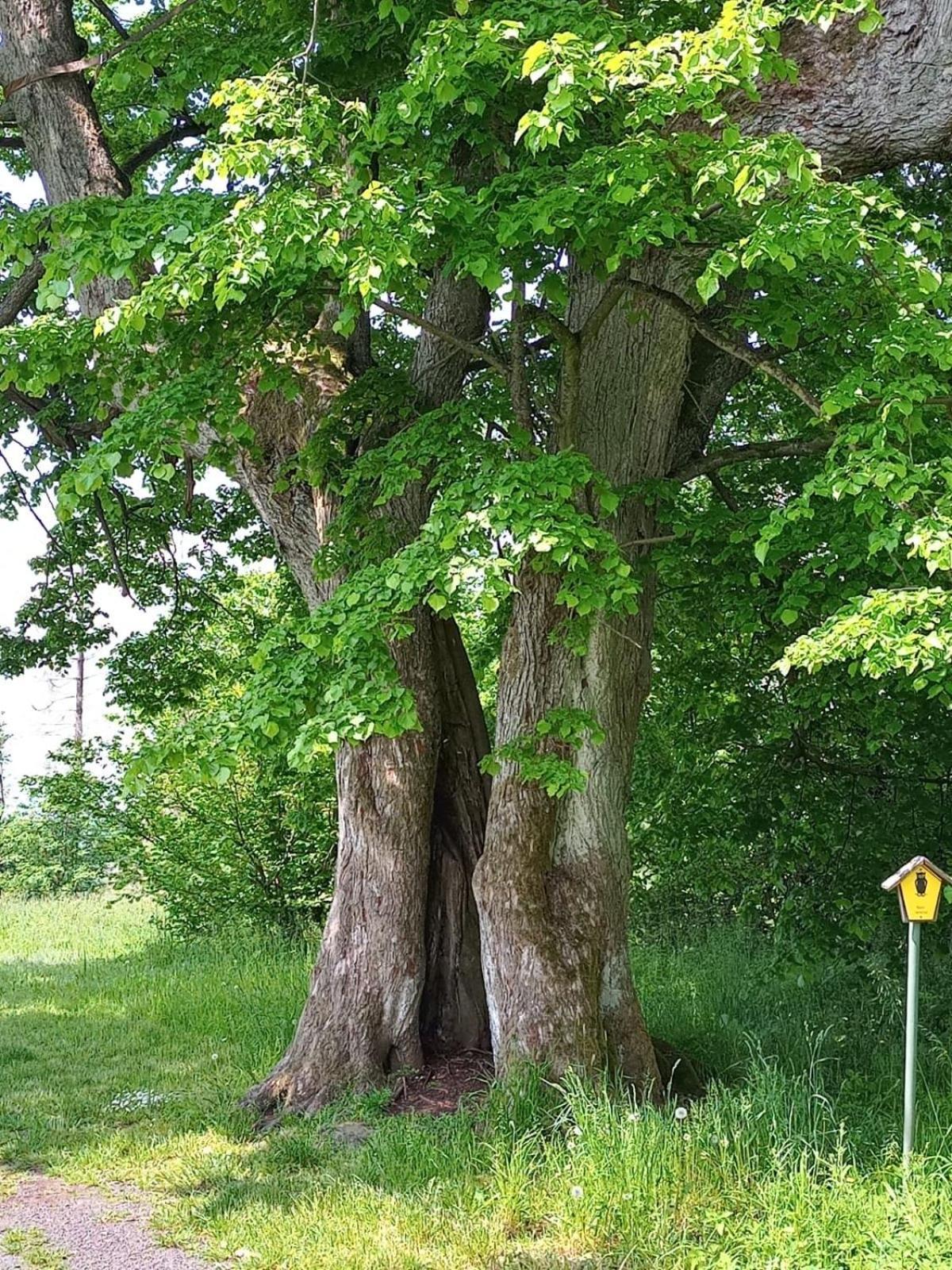 Ferienwohnung Am Hochrhoener Andenhausen Экстерьер фото